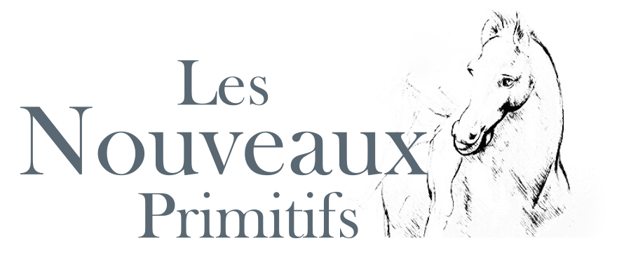 Les Nouveaux Primitifs